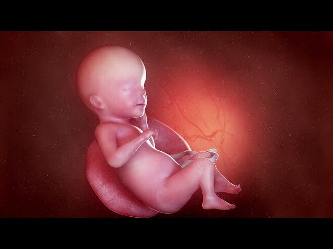 Nestlé FamilyNes: 26. tydzień ciąży – Kalendarz ciąży