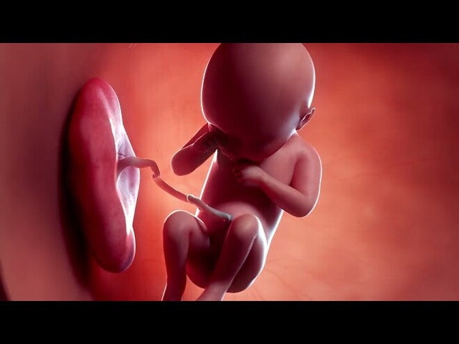 Nestlé FamilyNes: 29. tydzień ciąży – Kalendarz ciąży