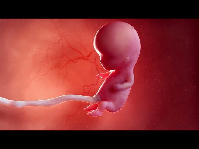 Nestlé FamilyNes: 10. tydzień ciąży – Kalendarz ciąży