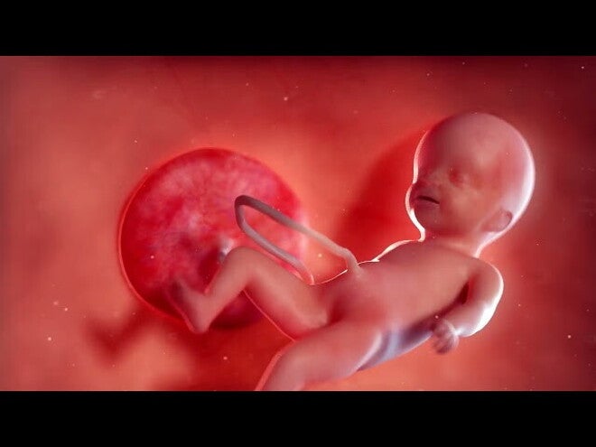 Nestlé FamilyNes: 40. tydzień ciąży – Kalendarz ciąży