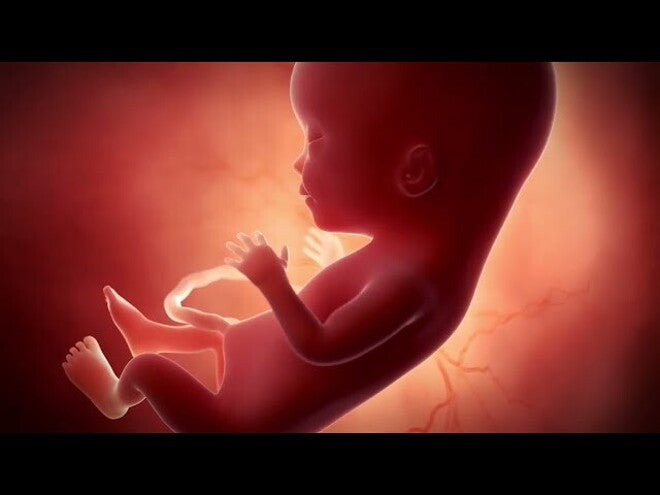 Nestlé FamilyNes: 15. tydzień ciąży – Kalendarz ciąży