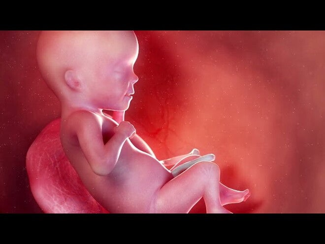 Nestlé FamilyNes: 17. tydzień ciąży – Kalendarz ciąży