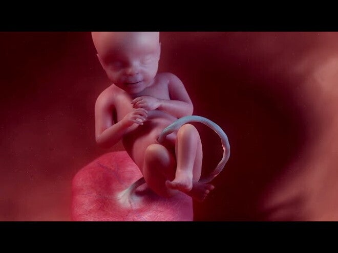 Nestlé FamilyNes: 19. tydzień ciąży – Kalendarz ciąży