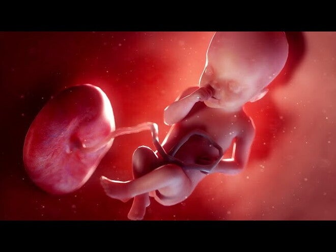 Nestlé FamilyNes: 21. tydzień ciąży – Kalendarz ciąży