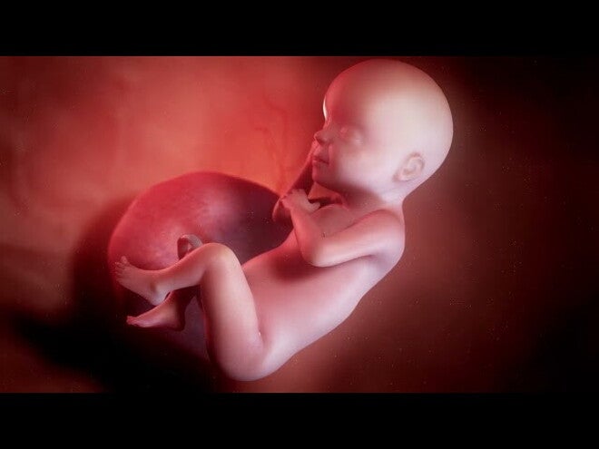 Nestlé FamilyNes: 30. tydzień ciąży – Kalendarz ciąży