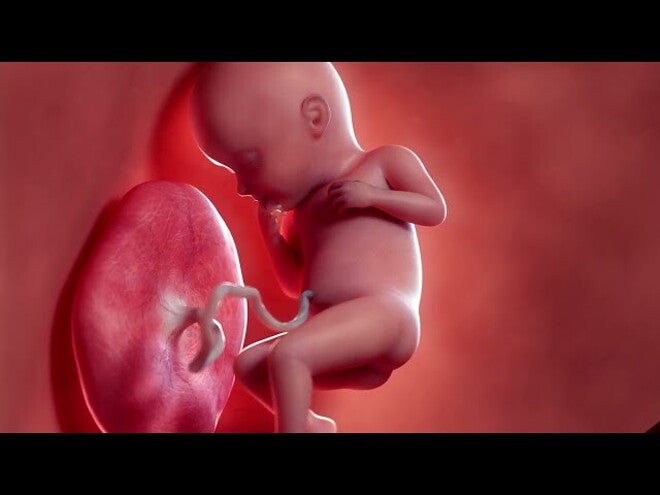 Nestlé FamilyNes: 32. tydzień ciąży – Kalendarz ciąży