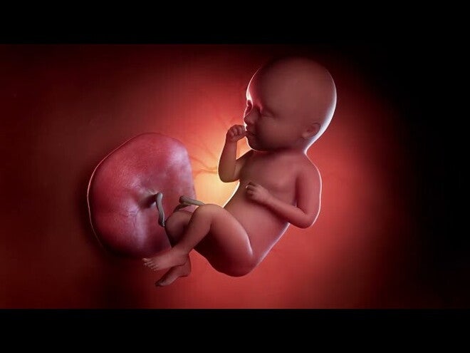 Nestlé FamilyNes: 34. tydzień ciąży – Kalendarz ciąży