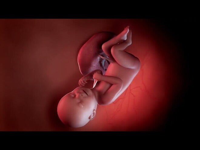 Nestlé FamilyNes: 38. tydzień ciąży – Kalendarz ciąży