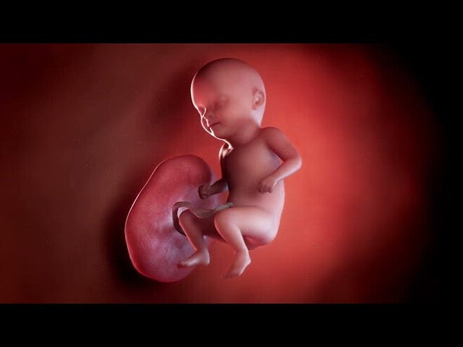 Nestlé FamilyNes: 31. tydzień ciąży – Kalendarz ciąży