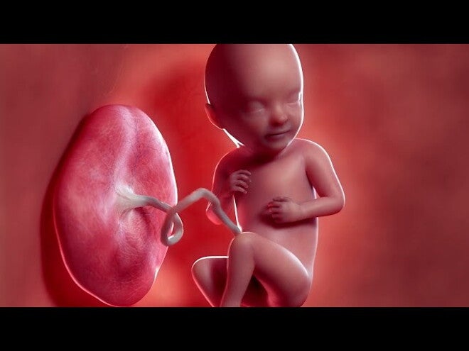 Nestlé FamilyNes: 33. tydzień ciąży – Kalendarz ciąży