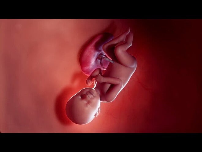 Nestlé FamilyNes: 37. tydzień ciąży – Kalendarz ciąży