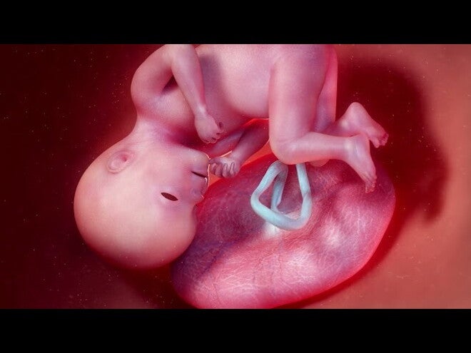 Nestlé FamilyNes: 39. tydzień ciąży – Kalendarz ciąży