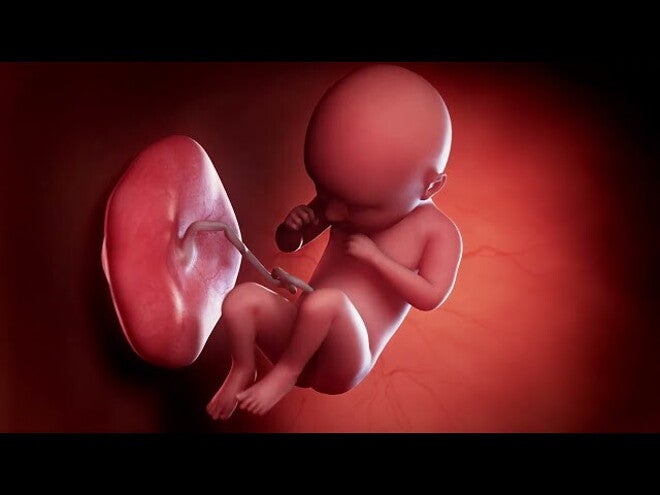 Nestlé FamilyNes: 35. tydzień ciąży – Kalendarz ciąży