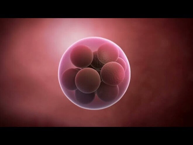 Nestlé FamilyNes: 3. tydzień ciąży – Kalendarz ciąży