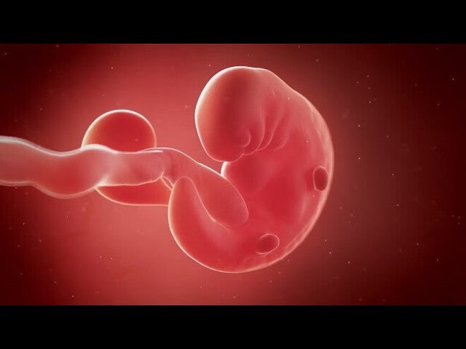 Nestlé FamilyNes: 6. tydzień ciąży – Kalendarz ciąży