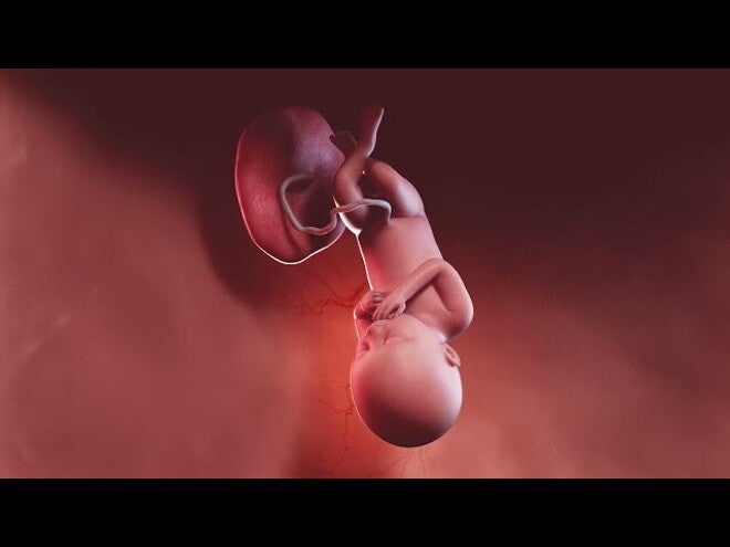 Nestlé FamilyNes: 36. tydzień ciąży – Kalendarz ciąży