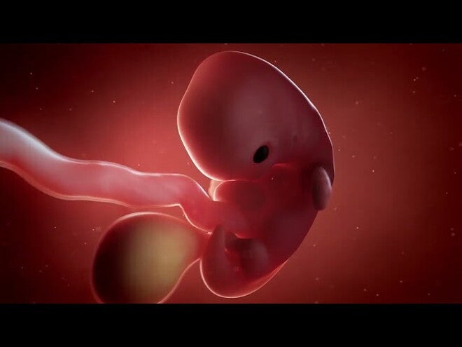 Nestlé FamilyNes: 7. tydzień ciąży – Kalendarz ciąży