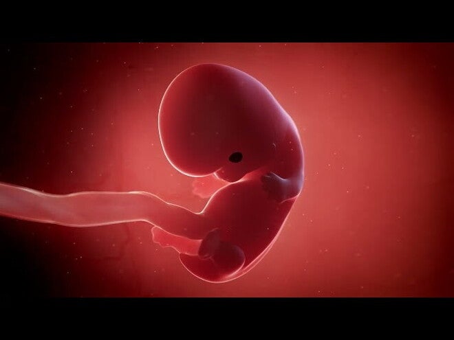 Nestlé FamilyNes: 8. tydzień ciąży – Kalendarz ciąży