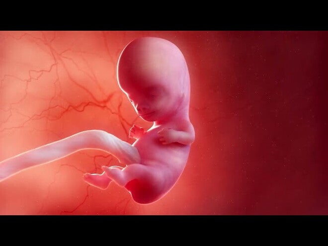 Nestlé FamilyNes: 9. tydzień ciąży – Kalendarz ciąży