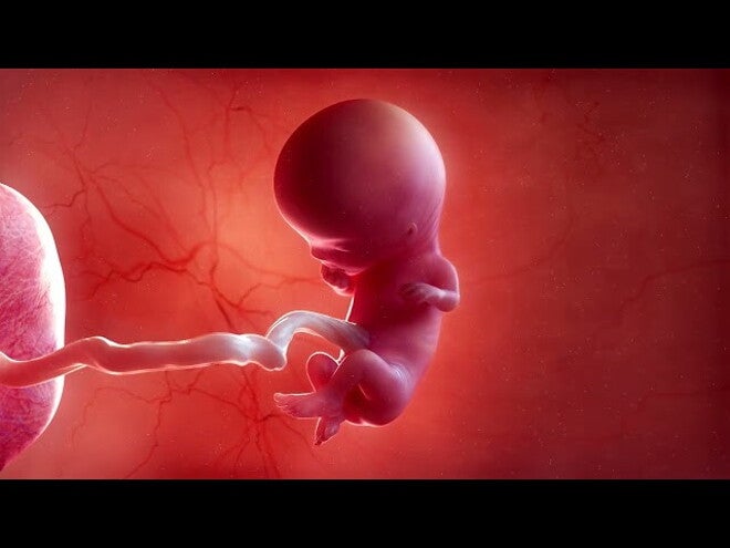 Nestlé FamilyNes: 11. tydzień ciąży – Kalendarz ciąży