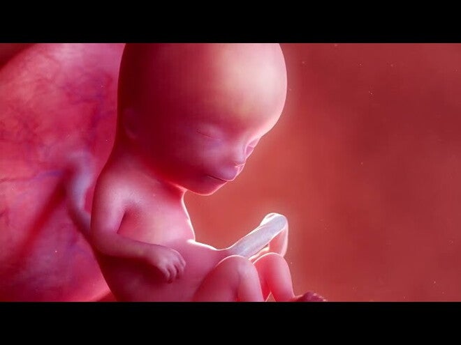 Nestlé FamilyNes: 12. tydzień ciąży – Kalendarz ciąży