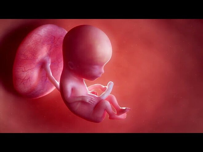 Nestlé FamilyNes: 13. tydzień ciąży – Kalendarz ciąży