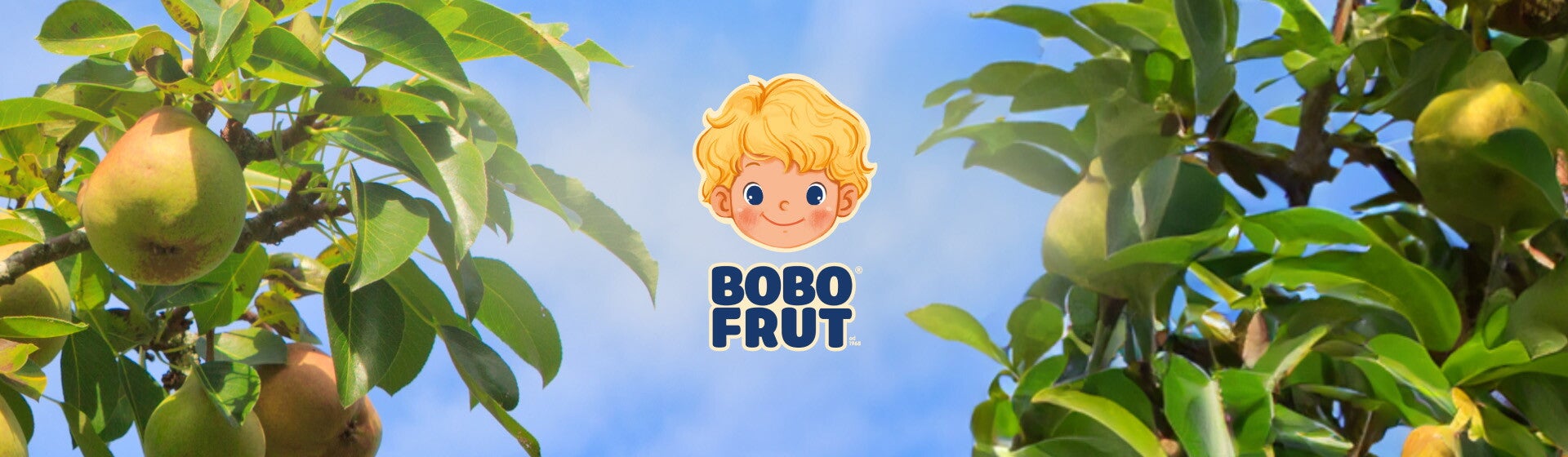 BOBO FRUT musy BOBO FRUT