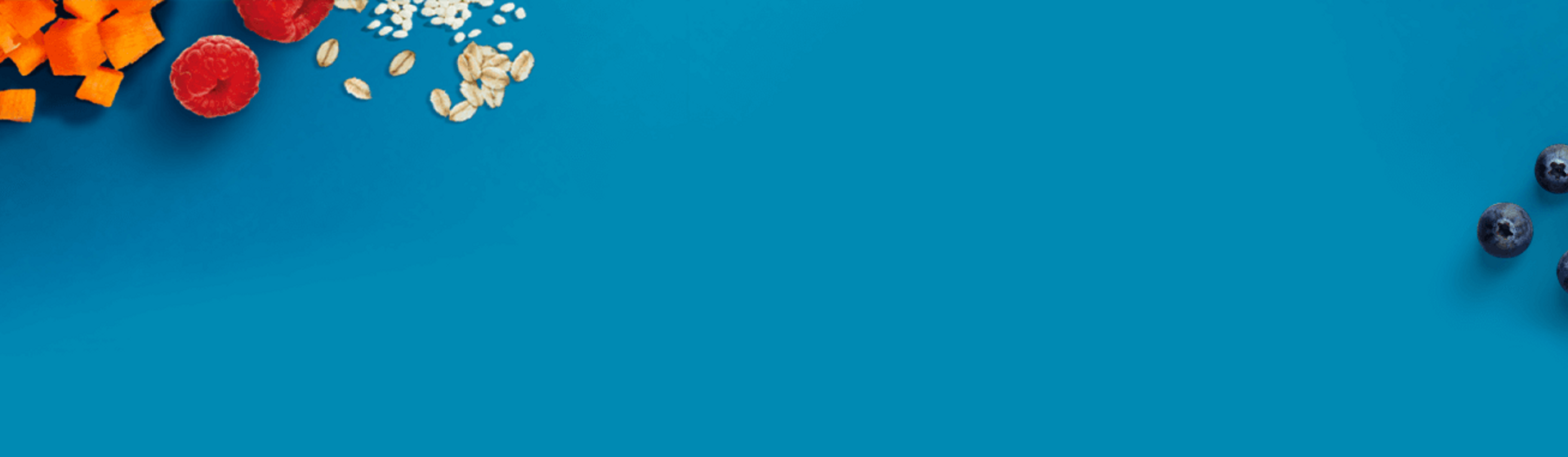 banner for gerber banner for gerber