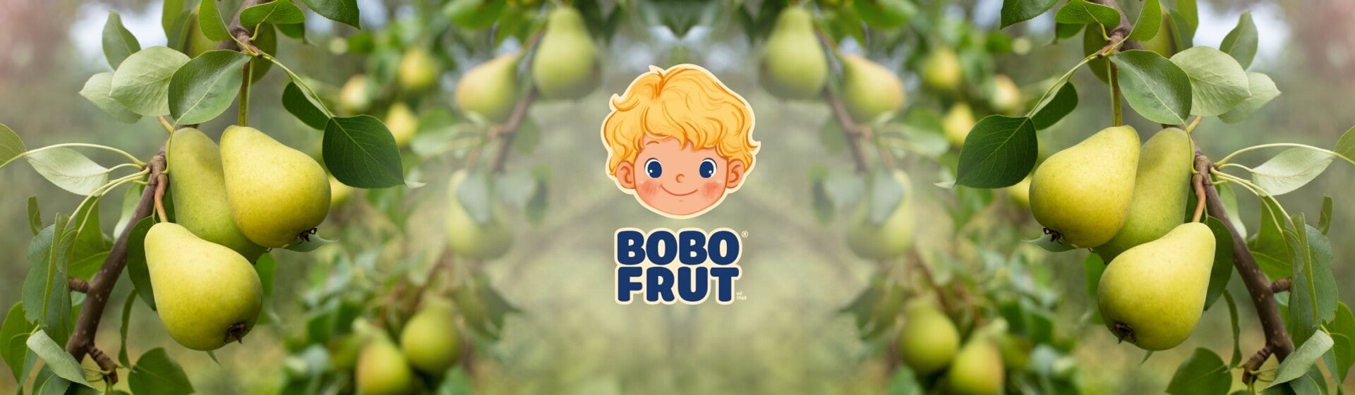 Bobo Frut Bobo Frut