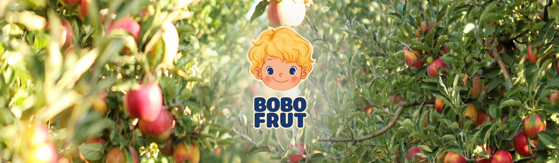 Nektary owocowe i owocowo-warzywne Nektary owocowe i owocowo-warzywne BOBO FRUT