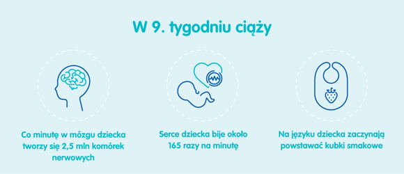 Płód w 9 tygodniu ciąży