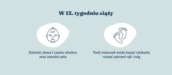 Płód w 12 tygodniu ciąży