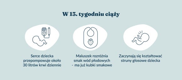 Płód w 13 tygodniu ciąży