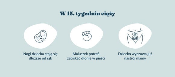 Płód w 15. tygodniu ciąży