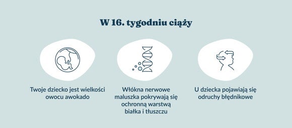 Rozwój dziecka – 16. tydzień ciąży