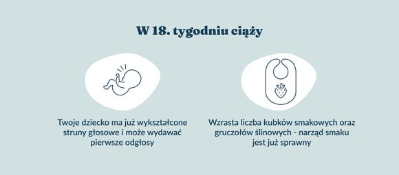 Płód w 18 tygodniu ciąży
