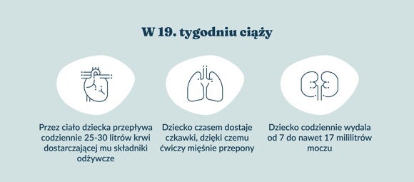 Rozwój dziecka – 19