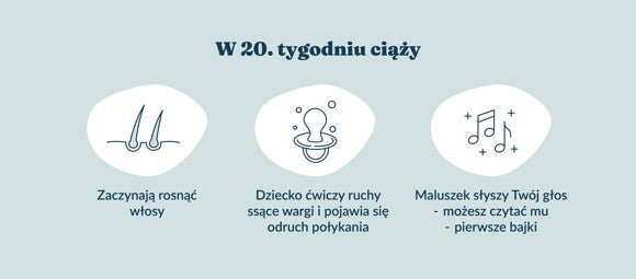 Płód w 20 tygodniu ciąży