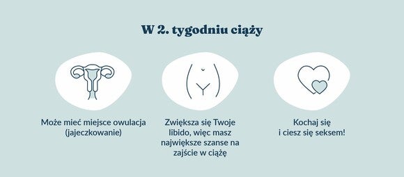 kalendarz_ciazy_update_grafik