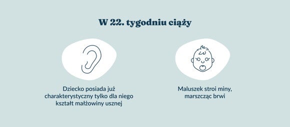Płód w 22 tygodniu ciąży