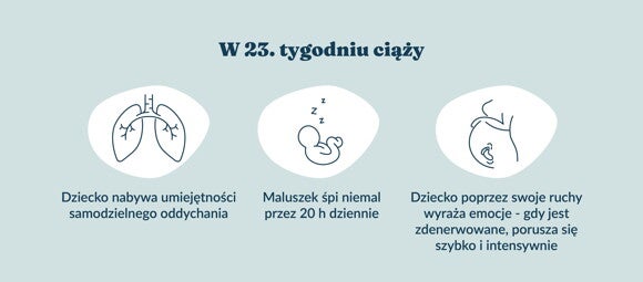 Rozwój dziecka – 23. tydzień ciąży