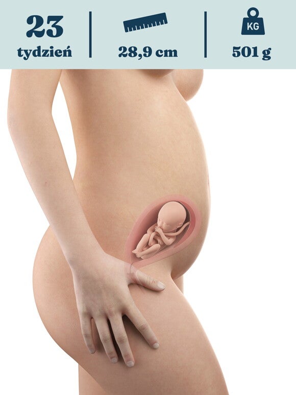 Rozwój dziecka – 23. tydzień ciąży