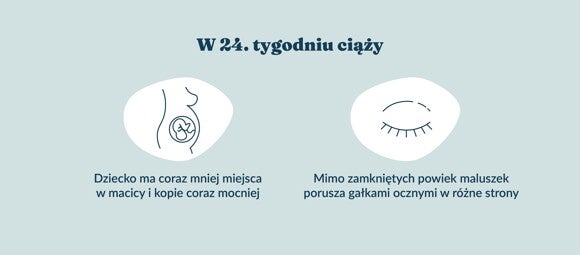 Płód w 24 tygodniu ciąży