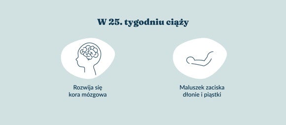 Płód w 25 tygodniu ciąży