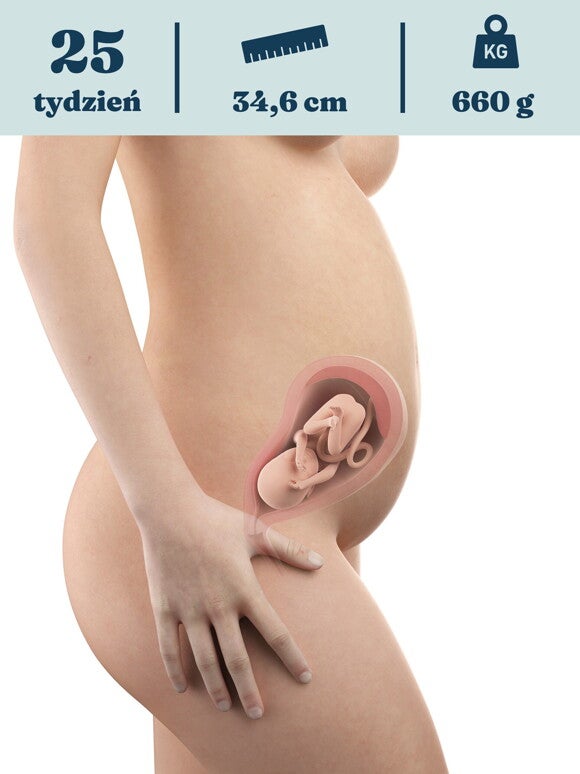 Rozwój dziecka – 25. tydzień ciąży