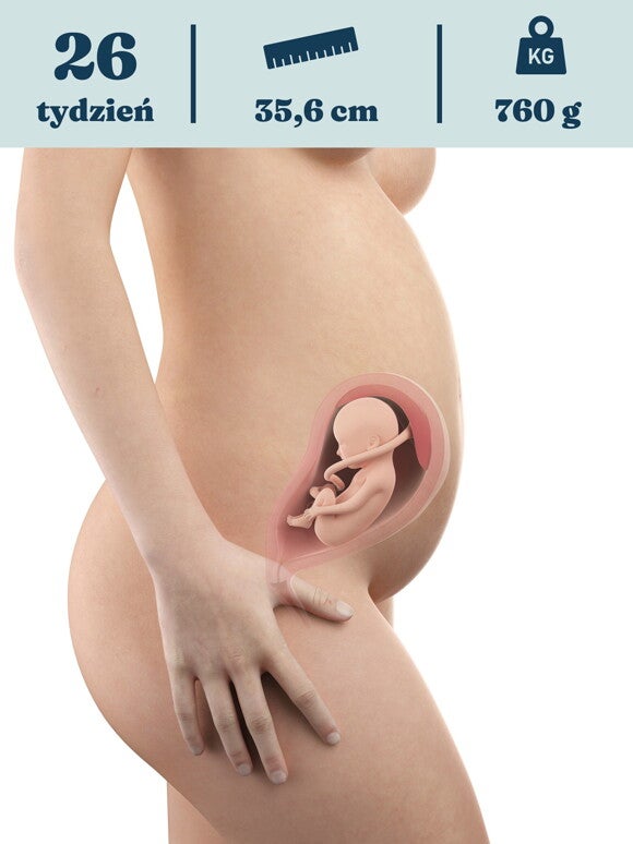 Rozwój dziecka – 26. tydzień ciąży