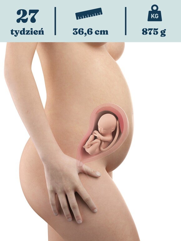 27. tydzień ciąży - jak wygląda dziecko?