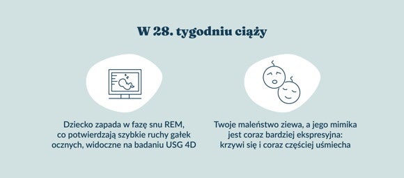 Płód w 28 tygodniu ciąży