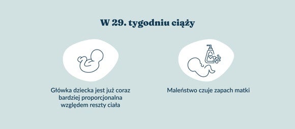 Płód w 29 tygodniu ciąży