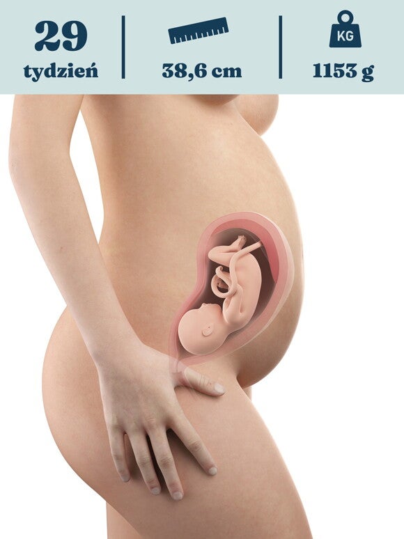 Rozwój dziecka – 29. tydzień